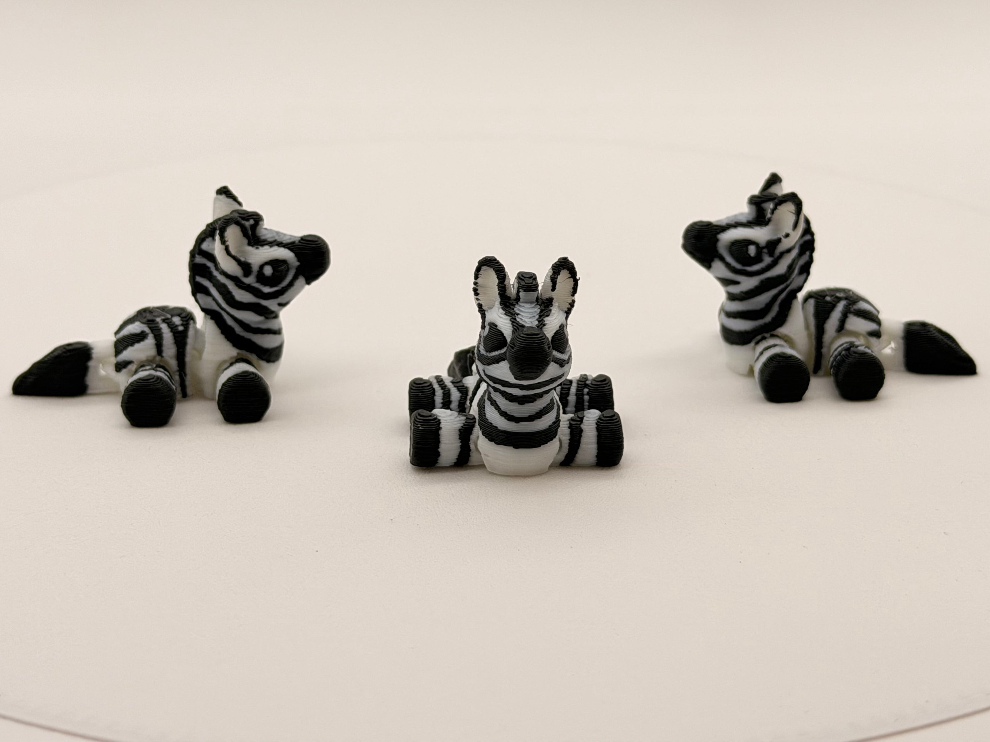 Zebra Bitty Mini