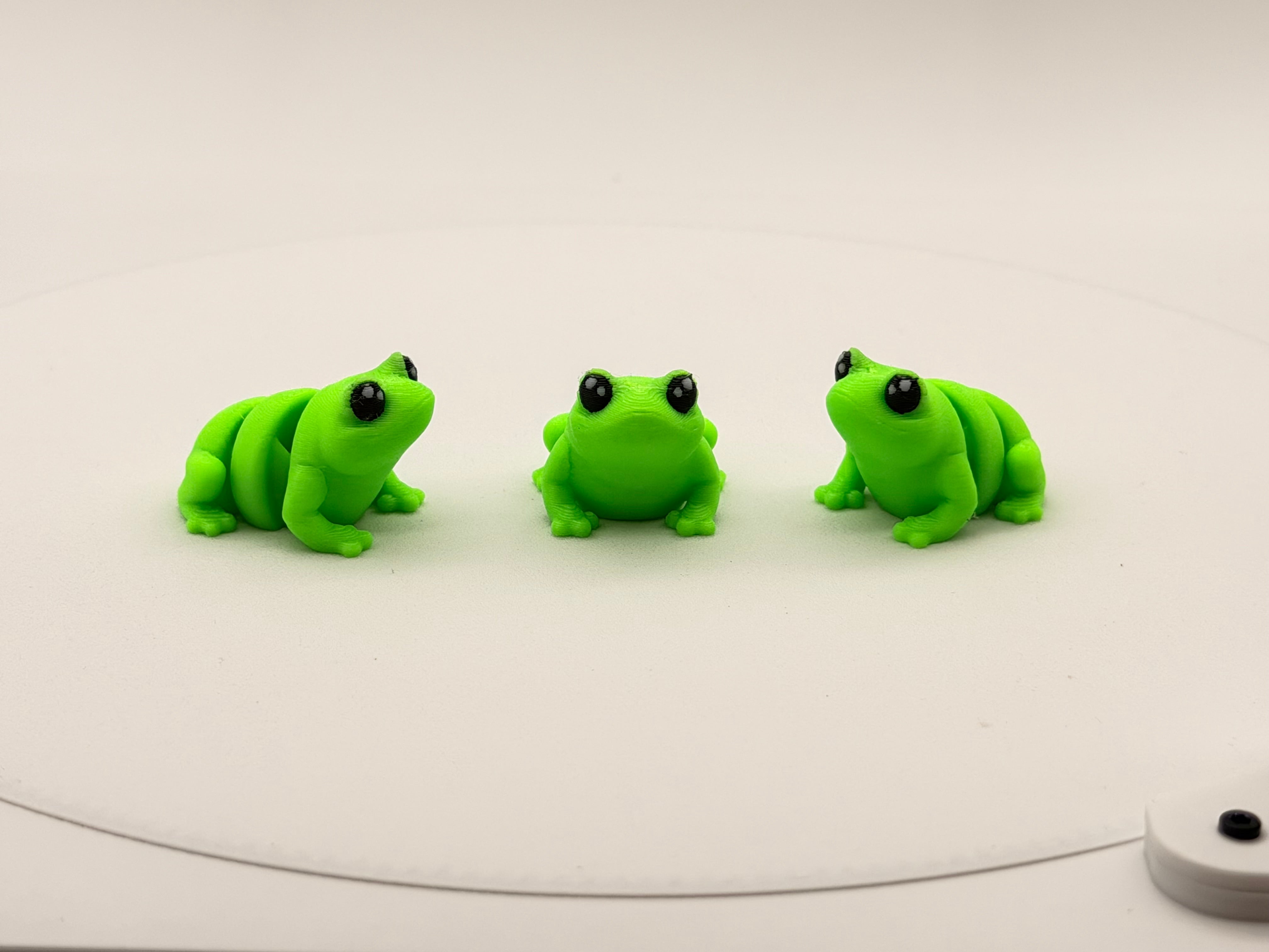 Frog Bitty Mini