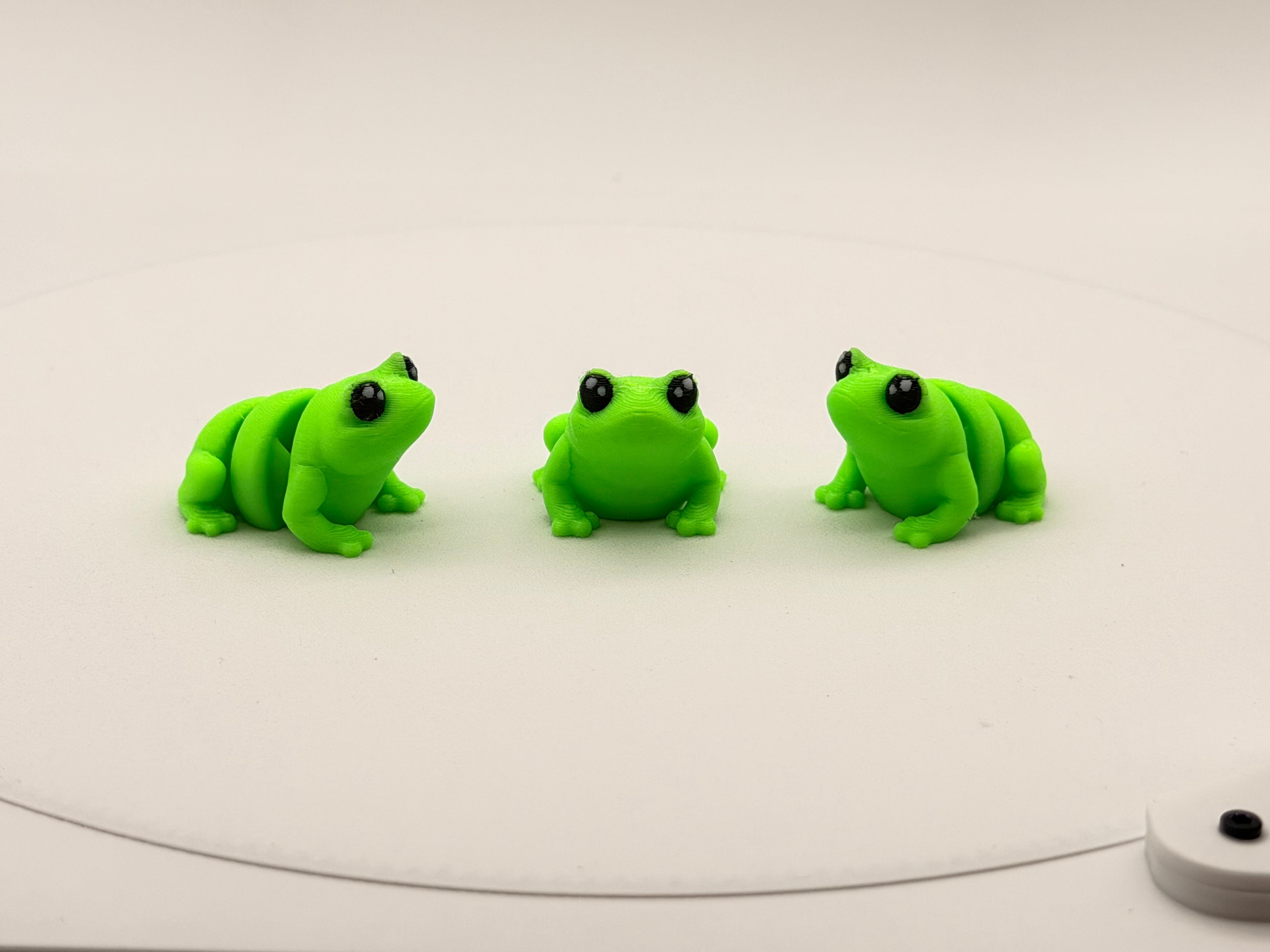 Frog Bitty Mini